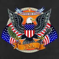 United We Stand USA Eagle Crest 11oz C Handle Ceramic Mug
