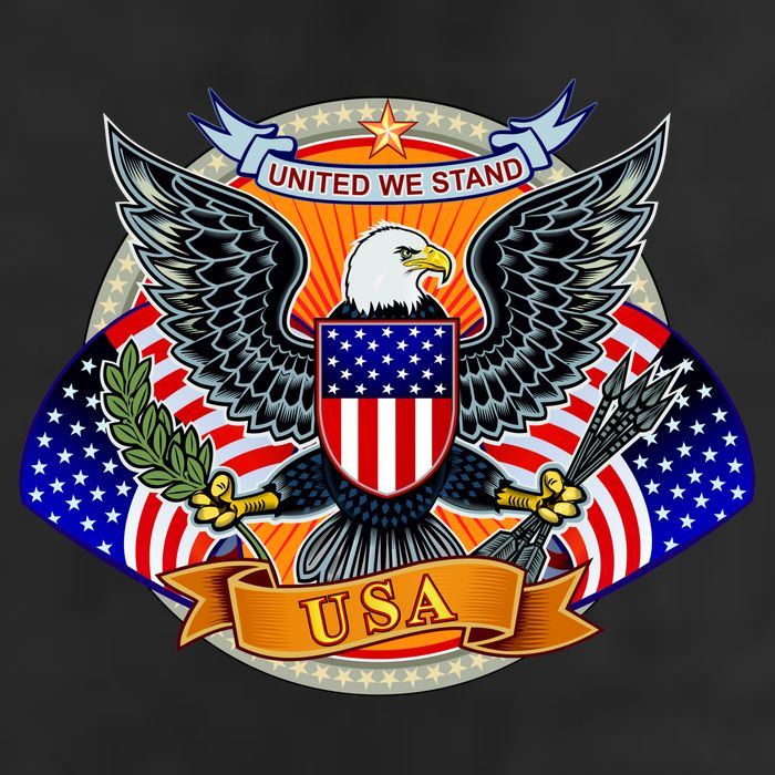 United We Stand USA Eagle Crest 11oz C Handle Ceramic Mug