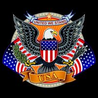 United We Stand USA Eagle Crest Visor