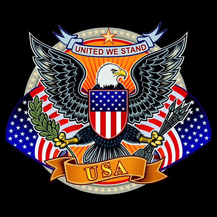 United We Stand USA Eagle Crest Visor