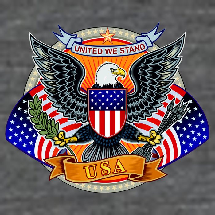 United We Stand USA Eagle Crest T-Shirt