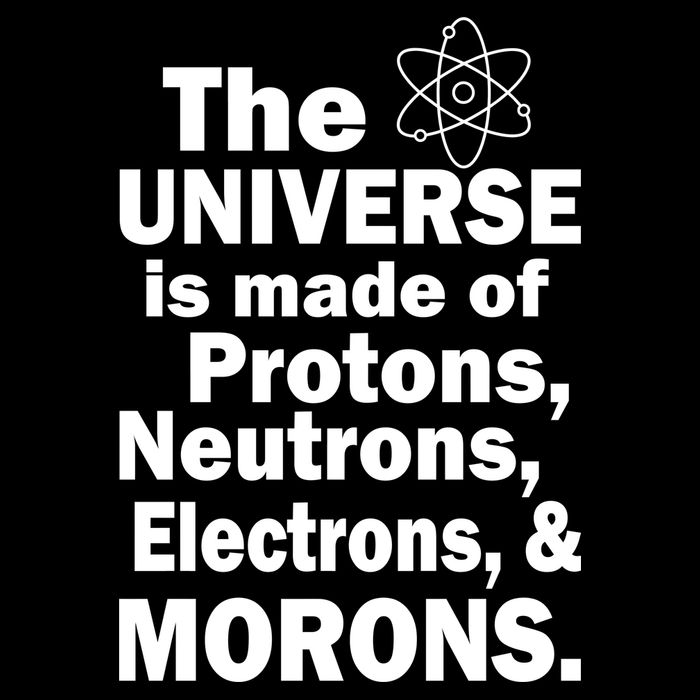 Universe Is Made Of Morons City Backpack