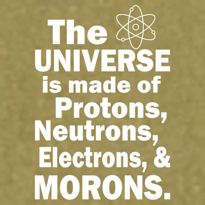 Universe Is Made Of Morons Garment-Dyed Women's Muscle Tee