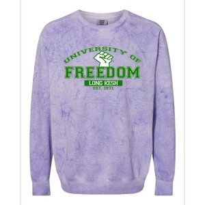 University Of Freedom Irish Republican Design Meaningful Gift Colorblast Crewneck Sweatshirt