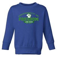 University Of Freedom Irish Republican Design Meaningful Gift Toddler Sweatshirt