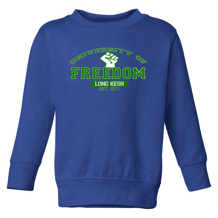 University Of Freedom Irish Republican Design Meaningful Gift Toddler Sweatshirt