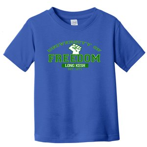 University Of Freedom Irish Republican Design Meaningful Gift Toddler T-Shirt