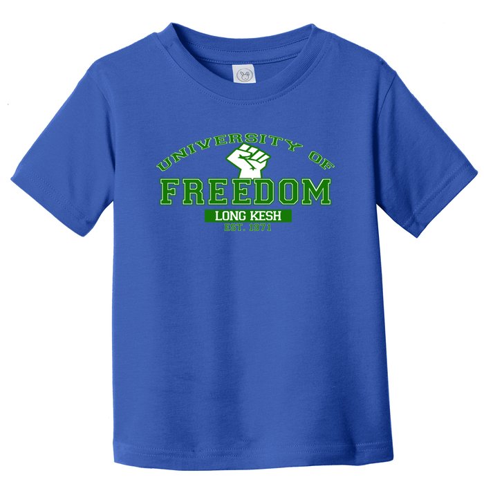 University Of Freedom Irish Republican Design Meaningful Gift Toddler T-Shirt