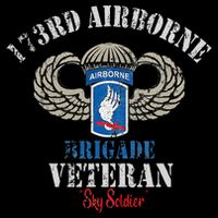 Us Paratrooper 173rd Airborne Brigade Veteran Sky Soldier Sustainable Bucket Hat