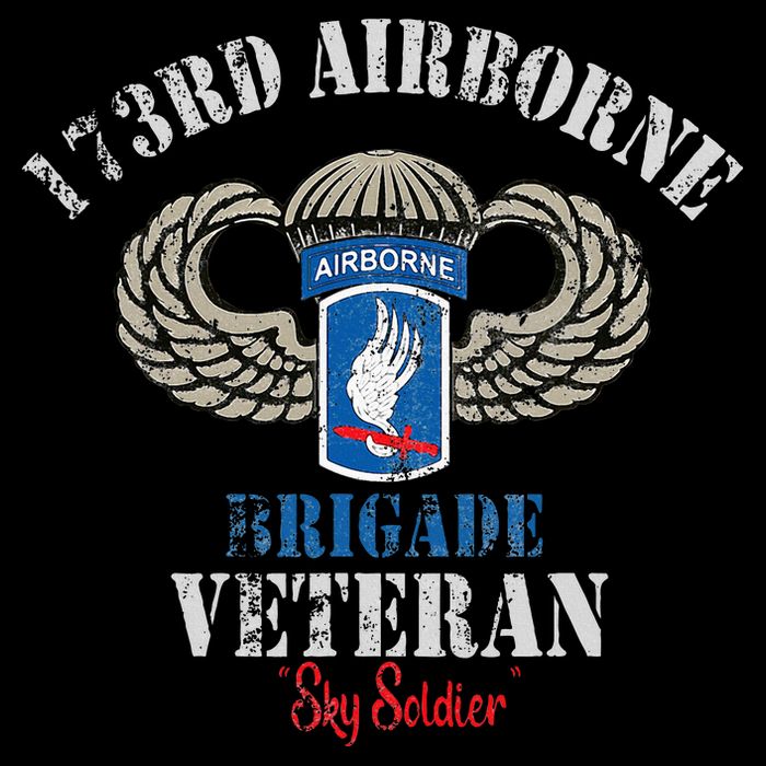 Us Paratrooper 173rd Airborne Brigade Veteran Sky Soldier Sustainable Bucket Hat
