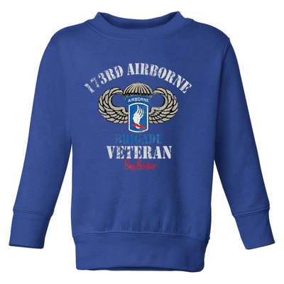 Us Paratrooper 173rd Airborne Brigade Veteran Sky Soldier Toddler Sweatshirt