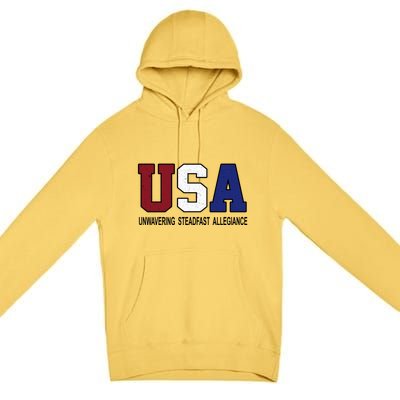 Usa Patriotic 4th Of July American Trump Conservative Funny Gift Premium Pullover Hoodie