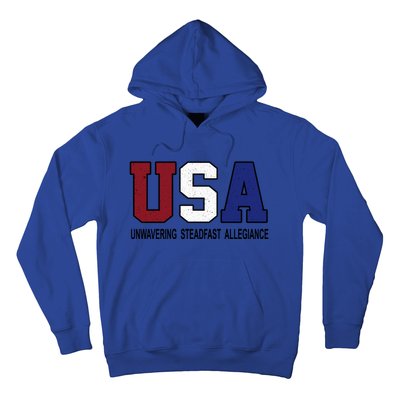 Usa Patriotic 4th Of July American Trump Conservative Funny Gift Hoodie