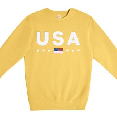 Usa Patriotic American Flag July 4th Premium Crewneck Sweatshirt