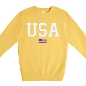 Usa Patriotic American Flag Premium Crewneck Sweatshirt