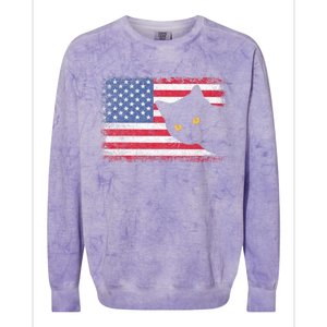 Usa Patriotic American Flag Us Cat Colorblast Crewneck Sweatshirt