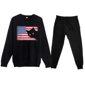 Usa Patriotic American Flag Us Cat Premium Crewneck Sweatsuit Set