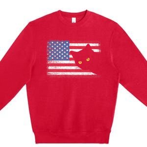 Usa Patriotic American Flag Us Cat Premium Crewneck Sweatshirt