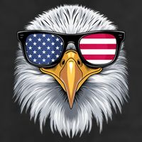 Usa Patriotic American Flag Bald Eagle Sunglasses July 4th 7 Panel Mesh Trucker Snapback Hat