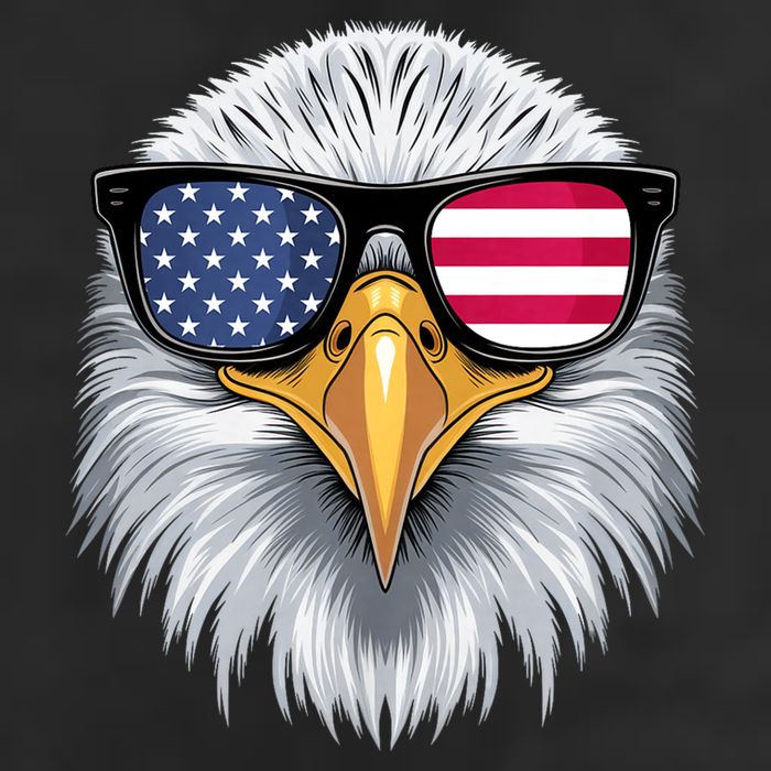 Usa Patriotic American Flag Bald Eagle Sunglasses July 4th 7 Panel Mesh Trucker Snapback Hat