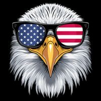 Usa Patriotic American Flag Bald Eagle Sunglasses July 4th Backpack