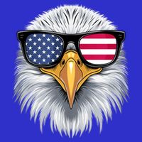 Usa Patriotic American Flag Bald Eagle Sunglasses July 4th Sweatshirt