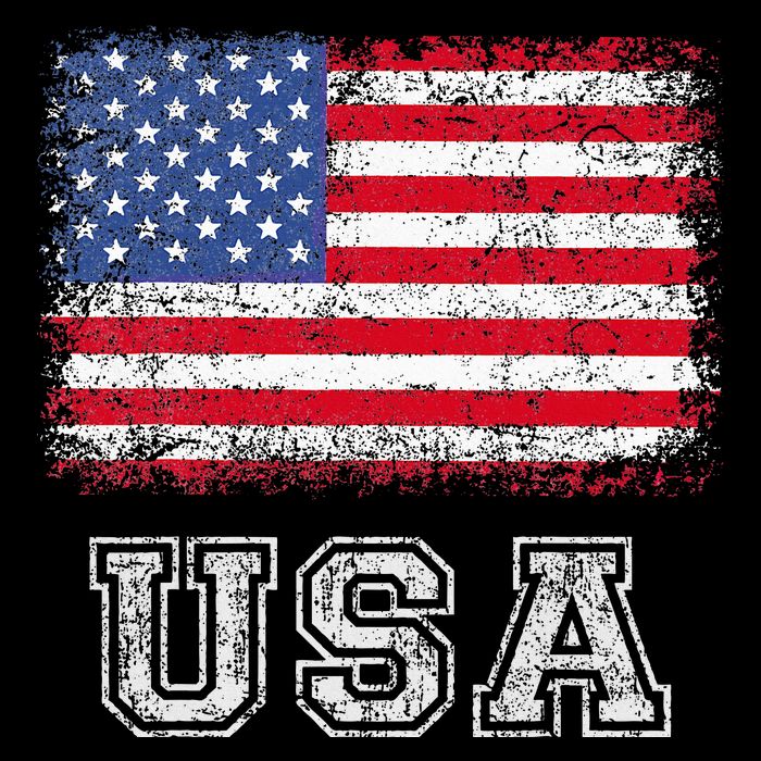 Usa Patriotic American Flag 16 in Basic Backpack
