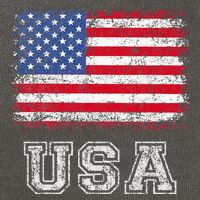 Usa Patriotic American Flag Cotton Canvas Backpack