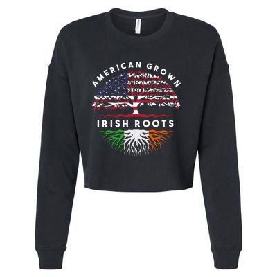 Usa Pride Irish Roots Ireland Hoodie Cropped Pullover Crew