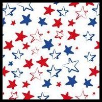 USA Pattern Stars Tank Top