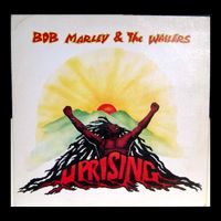Uprising Reggae Rasta Dreadlocks Dread Apron