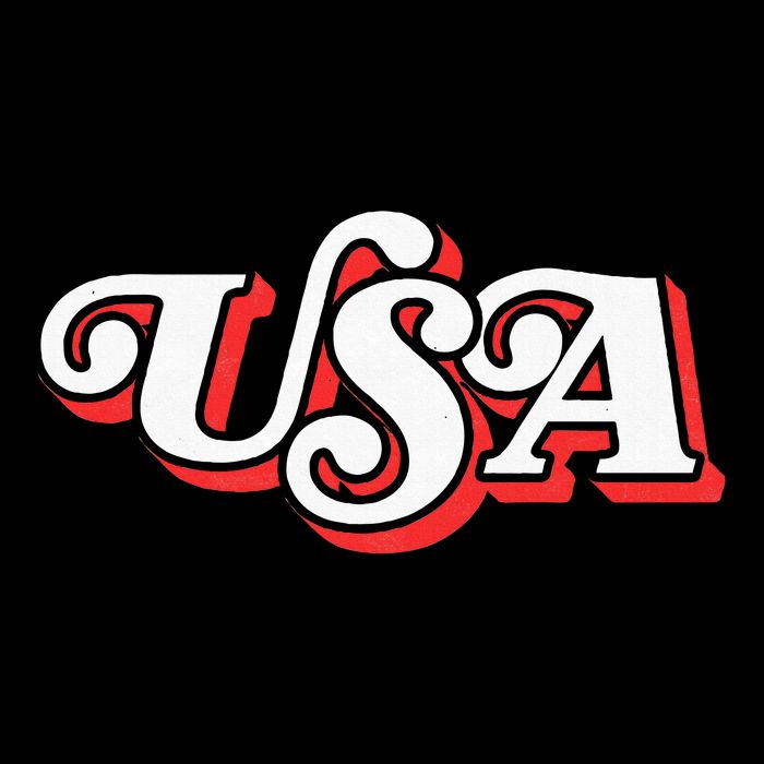 Usa Retro Typography Patriotic Cooling Performance Crew T-Shirt
