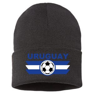 Uruguay Sustainable Knit Beanie