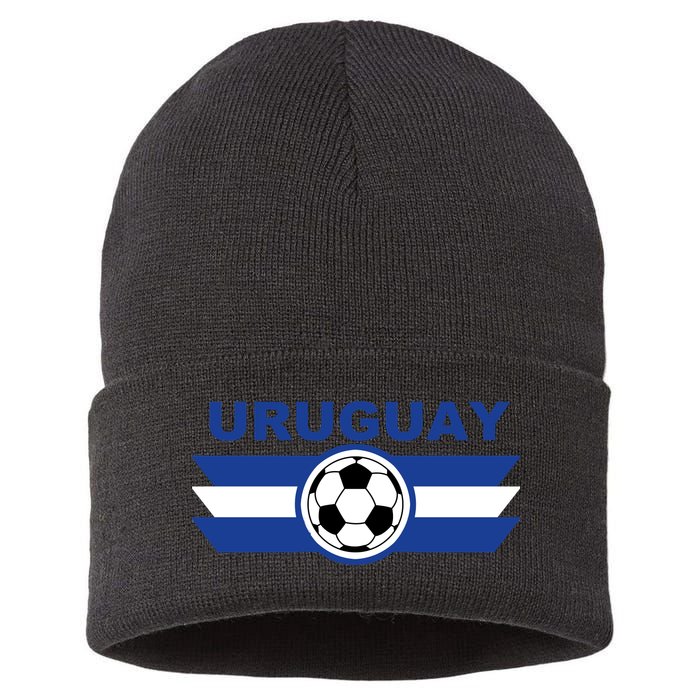 Uruguay Sustainable Knit Beanie