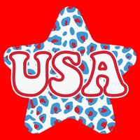 USA Star 4th Of July Festive Holiday Tie-Dye T-Shirt