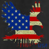 USA Bald Eagle Flag Drip 4th of July Adult Drive Performance Visor
