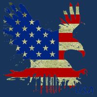 USA Bald Eagle Flag Drip 4th of July USA-Made Doggie Bandana