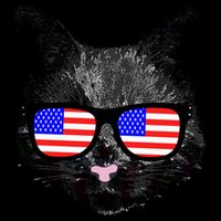 USA Cat Wearing American Flag Glasses City Backpack