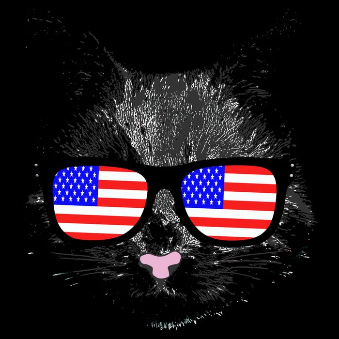 USA Cat Wearing American Flag Glasses City Backpack