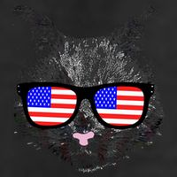 USA Cat Wearing American Flag Glasses 11oz C Handle Ceramic Mug