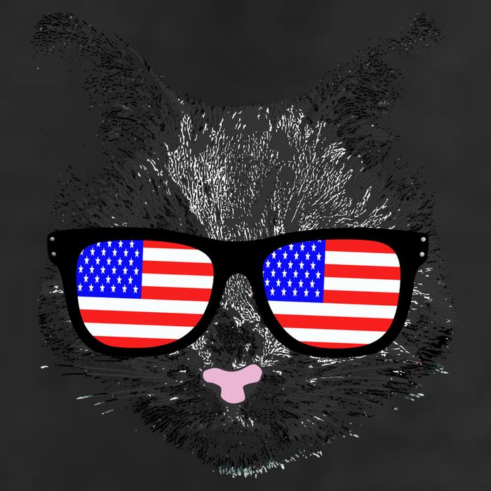 USA Cat Wearing American Flag Glasses 11oz C Handle Ceramic Mug