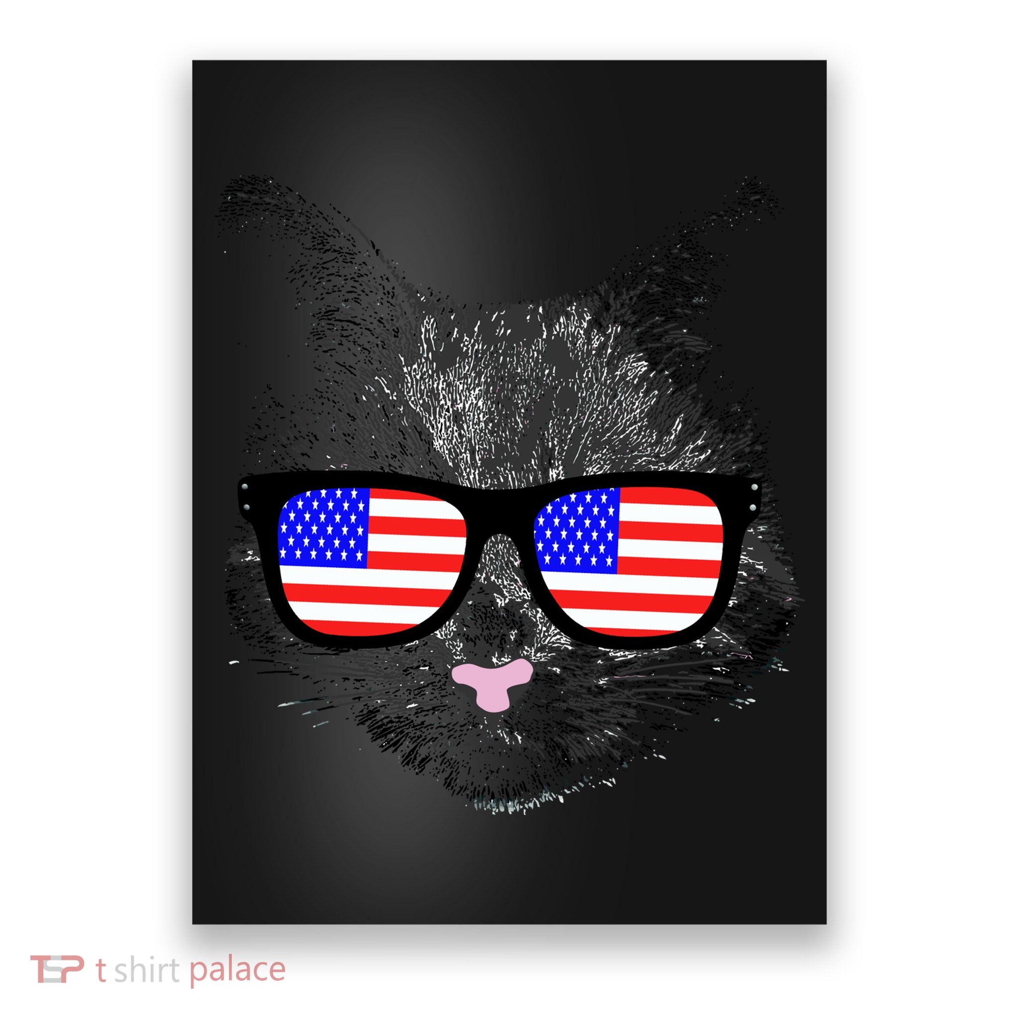 USA Cat Wearing American Flag Glasses Poster
