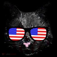 USA Cat Wearing American Flag Glasses Poster