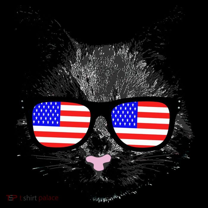 USA Cat Wearing American Flag Glasses Poster