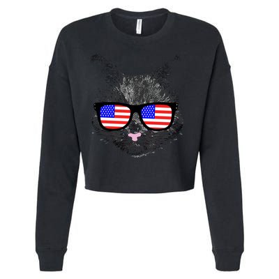 USA Cat Wearing American Flag Glasses Cropped Pullover Crew