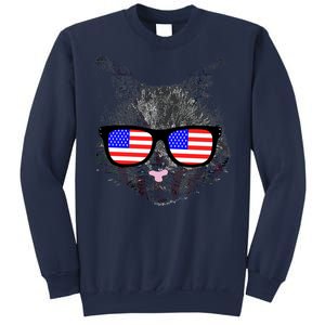 USA Cat Wearing American Flag Glasses Sweatshirt