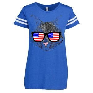 USA Cat Wearing American Flag Glasses Enza Ladies Jersey Football T-Shirt