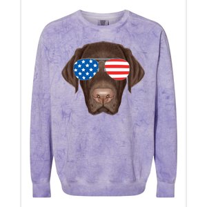 USA Chocolate Lab Dog Colorblast Crewneck Sweatshirt