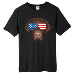 USA Chocolate Lab Dog Tall Fusion ChromaSoft Performance T-Shirt