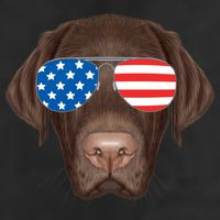 USA Chocolate Lab Dog Trucker Hat